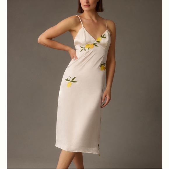 Anthropologie Dresses & Skirts - Anthro slip dress